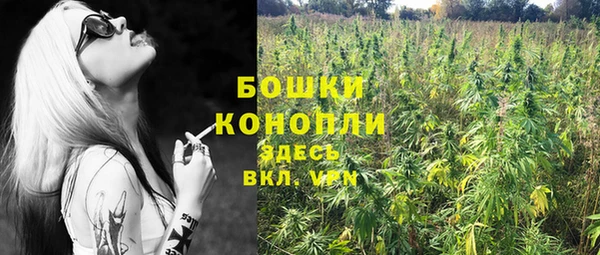 первитин Осинники