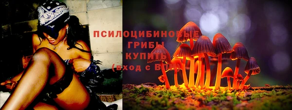 первитин Осинники