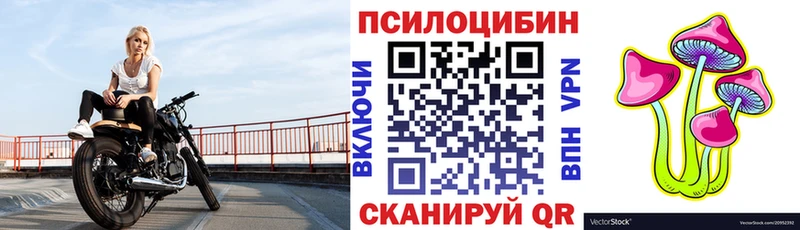 продажа наркотиков  Великий Новгород  Галлюциногенные грибы Cubensis 