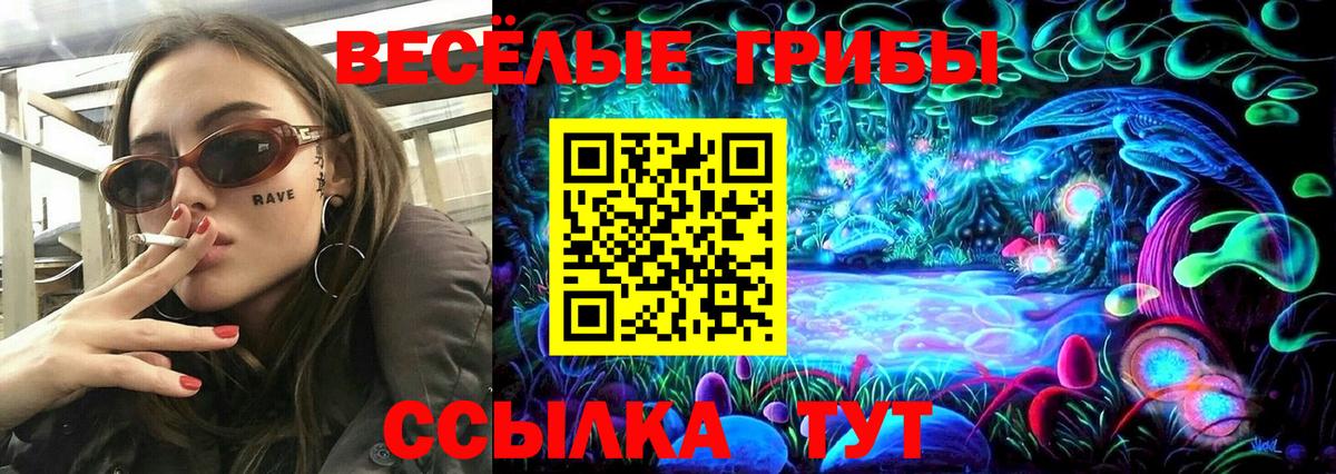 Великий Новгород  Галлюциногенные грибы MAGIC MUSHROOMS  Псилоцибиновые грибы мицелий  Вход с VPN 