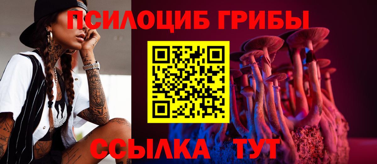 Галлюциногенные грибы Psilocybine cubensis Великий Новгород